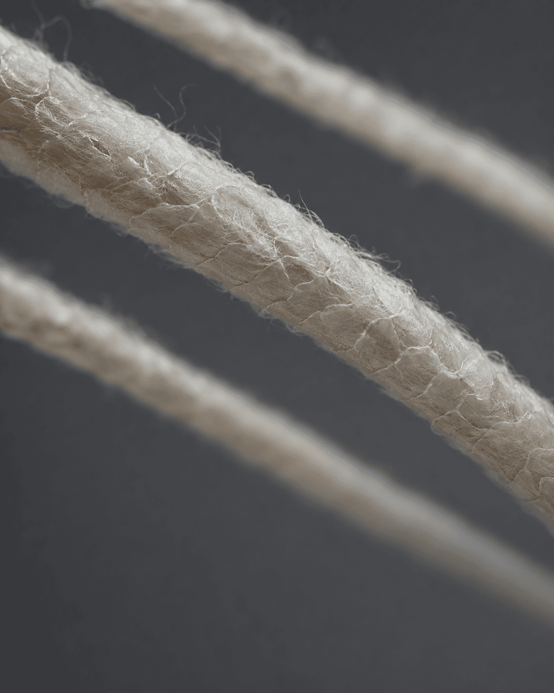 Close macro view of wool fibres