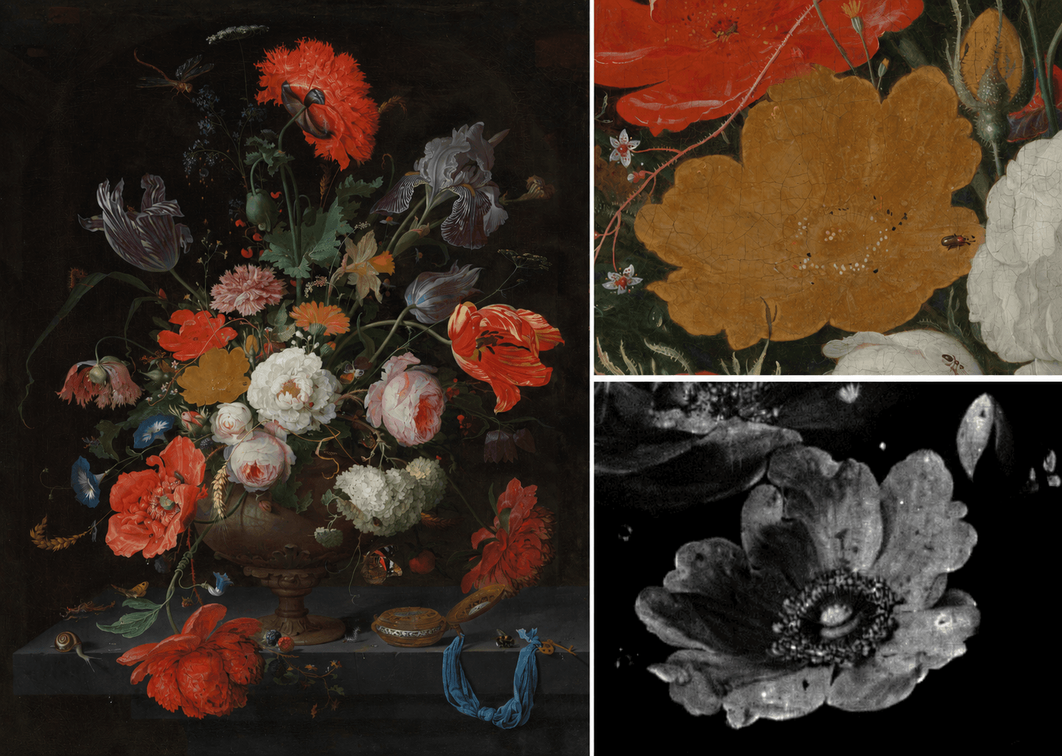 Mignon still life and degraded yellow rose